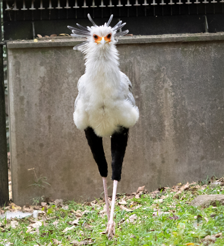 【悲報】すずめとかいう激可愛鳥、ガチで絶滅危惧種並に減るスピードが早いらしい… | 【悲報】すずめとかいう激可愛鳥、ガチで絶滅危惧種並に減るスピードが早いらしい… | 【悲報】すずめとかいう激可愛鳥、ガチで絶滅危惧種並に減るスピードが早いらしい… | 【悲報】すずめとかいう激可愛鳥、ガチで絶滅危惧種並に減るスピードが早いらしい… | 【悲報】すずめとかいう激可愛鳥、ガチで絶滅危惧種並に減るスピードが早いらしい… | 【悲報】すずめとかいう激可愛鳥、ガチで絶滅危惧種並に減るスピードが早いらしい… | 【悲報】すずめとかいう激可愛鳥、ガチで絶滅危惧種並に減るスピードが早いらしい… | 【悲報】すずめとかいう激可愛鳥、ガチで絶滅危惧種並に減るスピードが早いらしい… | 【悲報】すずめとかいう激可愛鳥、ガチで絶滅危惧種並に減るスピードが早いらしい… | 【悲報】すずめとかいう激可愛鳥、ガチで絶滅危惧種並に減るスピードが早いらしい… | 【悲報】すずめとかいう激可愛鳥、ガチで絶滅危惧種並に減るスピードが早いらしい… | 【悲報】すずめとかいう激可愛鳥、ガチで絶滅危惧種並に減るスピードが早いらしい… | 【悲報】すずめとかいう激可愛鳥、ガチで絶滅危惧種並に減るスピードが早いらしい… | 【悲報】すずめとかいう激可愛鳥、ガチで絶滅危惧種並に減るスピードが早いらしい… | 【悲報】すずめとかいう激可愛鳥、ガチで絶滅危惧種並に減るスピードが早いらしい… | 【悲報】すずめとかいう激可愛鳥、ガチで絶滅危惧種並に減るスピードが早いらしい… | 【悲報】すずめとかいう激可愛鳥、ガチで絶滅危惧種並に減るスピードが早いらしい… | 【悲報】すずめとかいう激可愛鳥、ガチで絶滅危惧種並に減るスピードが早いらしい… | 【悲報】すずめとかいう激可愛鳥、ガチで絶滅危惧種並に減るスピードが早いらしい… | 【悲報】すずめとかいう激可愛鳥、ガチで絶滅危惧種並に減るスピードが早いらしい… | 【悲報】すずめとかいう激可愛鳥、ガチで絶滅危惧種並に減るスピードが早いらしい… | 【悲報】すずめとかいう激可愛鳥、ガチで絶滅危惧種並に減るスピードが早いらしい… | 【悲報】すずめとかいう激可愛鳥、ガチで絶滅危惧種並に減るスピードが早いらしい… | 【悲報】すずめとかいう激可愛鳥、ガチで絶滅危惧種並に減るスピードが早いらしい… | 【悲報】すずめとかいう激可愛鳥、ガチで絶滅危惧種並に減るスピードが早いらしい… | やっちまった速報(画像24080818433995_25)