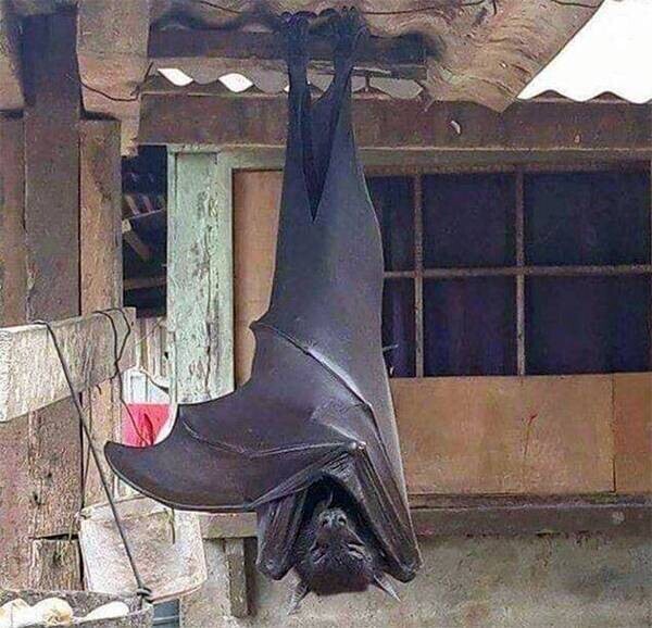 【悲報】すずめとかいう激可愛鳥、ガチで絶滅危惧種並に減るスピードが早いらしい… | 【悲報】すずめとかいう激可愛鳥、ガチで絶滅危惧種並に減るスピードが早いらしい… | 【悲報】すずめとかいう激可愛鳥、ガチで絶滅危惧種並に減るスピードが早いらしい… | 【悲報】すずめとかいう激可愛鳥、ガチで絶滅危惧種並に減るスピードが早いらしい… | 【悲報】すずめとかいう激可愛鳥、ガチで絶滅危惧種並に減るスピードが早いらしい… | 【悲報】すずめとかいう激可愛鳥、ガチで絶滅危惧種並に減るスピードが早いらしい… | 【悲報】すずめとかいう激可愛鳥、ガチで絶滅危惧種並に減るスピードが早いらしい… | 【悲報】すずめとかいう激可愛鳥、ガチで絶滅危惧種並に減るスピードが早いらしい… | 【悲報】すずめとかいう激可愛鳥、ガチで絶滅危惧種並に減るスピードが早いらしい… | 【悲報】すずめとかいう激可愛鳥、ガチで絶滅危惧種並に減るスピードが早いらしい… | 【悲報】すずめとかいう激可愛鳥、ガチで絶滅危惧種並に減るスピードが早いらしい… | 【悲報】すずめとかいう激可愛鳥、ガチで絶滅危惧種並に減るスピードが早いらしい… | 【悲報】すずめとかいう激可愛鳥、ガチで絶滅危惧種並に減るスピードが早いらしい… | 【悲報】すずめとかいう激可愛鳥、ガチで絶滅危惧種並に減るスピードが早いらしい… | 【悲報】すずめとかいう激可愛鳥、ガチで絶滅危惧種並に減るスピードが早いらしい… | 【悲報】すずめとかいう激可愛鳥、ガチで絶滅危惧種並に減るスピードが早いらしい… | 【悲報】すずめとかいう激可愛鳥、ガチで絶滅危惧種並に減るスピードが早いらしい… | 【悲報】すずめとかいう激可愛鳥、ガチで絶滅危惧種並に減るスピードが早いらしい… | 【悲報】すずめとかいう激可愛鳥、ガチで絶滅危惧種並に減るスピードが早いらしい… | 【悲報】すずめとかいう激可愛鳥、ガチで絶滅危惧種並に減るスピードが早いらしい… | 【悲報】すずめとかいう激可愛鳥、ガチで絶滅危惧種並に減るスピードが早いらしい… | 【悲報】すずめとかいう激可愛鳥、ガチで絶滅危惧種並に減るスピードが早いらしい… | 【悲報】すずめとかいう激可愛鳥、ガチで絶滅危惧種並に減るスピードが早いらしい… | 【悲報】すずめとかいう激可愛鳥、ガチで絶滅危惧種並に減るスピードが早いらしい… | 【悲報】すずめとかいう激可愛鳥、ガチで絶滅危惧種並に減るスピードが早いらしい… | 【悲報】すずめとかいう激可愛鳥、ガチで絶滅危惧種並に減るスピードが早いらしい… | 【悲報】すずめとかいう激可愛鳥、ガチで絶滅危惧種並に減るスピードが早いらしい… | 【悲報】すずめとかいう激可愛鳥、ガチで絶滅危惧種並に減るスピードが早いらしい… | 【悲報】すずめとかいう激可愛鳥、ガチで絶滅危惧種並に減るスピードが早いらしい… | 【悲報】すずめとかいう激可愛鳥、ガチで絶滅危惧種並に減るスピードが早いらしい… | 【悲報】すずめとかいう激可愛鳥、ガチで絶滅危惧種並に減るスピードが早いらしい… | 【悲報】すずめとかいう激可愛鳥、ガチで絶滅危惧種並に減るスピードが早いらしい… | 【悲報】すずめとかいう激可愛鳥、ガチで絶滅危惧種並に減るスピードが早いらしい… | やっちまった速報(画像24080821108036_33)