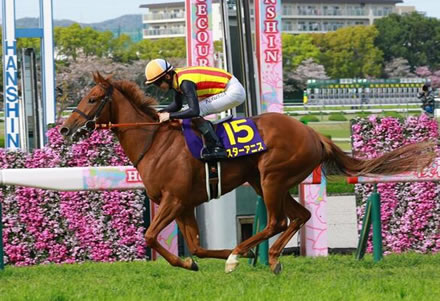 クロワデュノール次走は宝塚記念に決定！春の古馬3冠達成なら史上初の褒賞金3億円
 | やっちまった速報(ピックアップ4)