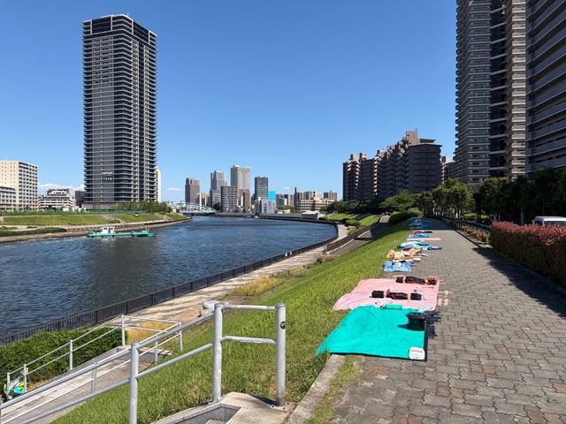 【爆笑】　東京の花火大会、ガチで治安最悪ｗｗｗｗ | 【爆笑】　東京の花火大会、ガチで治安最悪ｗｗｗｗ | 【爆笑】　東京の花火大会、ガチで治安最悪ｗｗｗｗ | やっちまった速報(画像31200852012671_3)