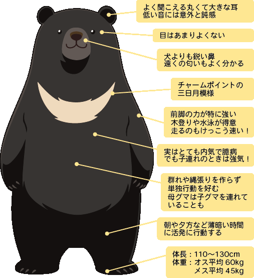 【画像あり】赤ん坊を抱いた21歳のギャルママ、ツキノワグマに襲われるもキックで一蹴ｗｗｗｗ | 【画像あり】赤ん坊を抱いた21歳のギャルママ、ツキノワグマに襲われるもキックで一蹴ｗｗｗｗ | 【画像あり】赤ん坊を抱いた21歳のギャルママ、ツキノワグマに襲われるもキックで一蹴ｗｗｗｗ | 【画像あり】赤ん坊を抱いた21歳のギャルママ、ツキノワグマに襲われるもキックで一蹴ｗｗｗｗ | 【画像あり】赤ん坊を抱いた21歳のギャルママ、ツキノワグマに襲われるもキックで一蹴ｗｗｗｗ | やっちまった速報(画像02225827230285_5)