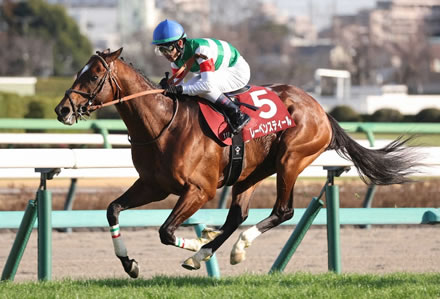 ウイニング競馬に根本元調教師が新レギュラー加入
 | やっちまった速報(ピックアップ6)