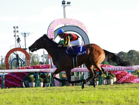 レース後に「あ、これは完全にフロックだ」と思ったG1馬といえば？
 | やっちまった速報(ピックアップ4)