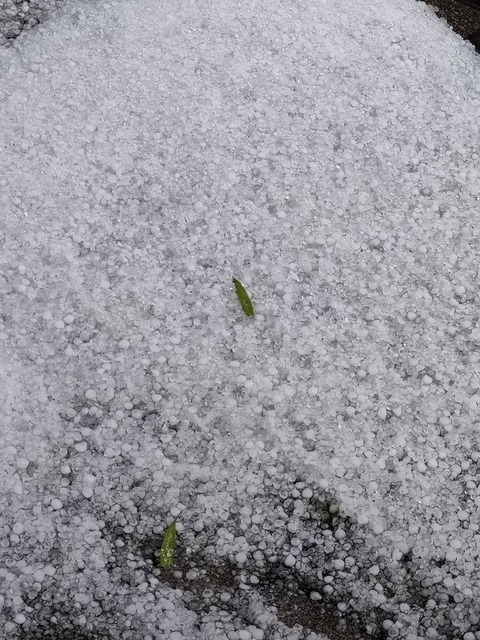 【悲報】東京、大豪雨 | 【悲報】東京、大豪雨 | 【悲報】東京、大豪雨 | 【悲報】東京、大豪雨 | 【悲報】東京、大豪雨 | 【悲報】東京、大豪雨 | やっちまった速報(画像12154837630580_6)