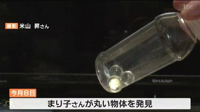 【悲報】東京、大豪雨 | 【悲報】東京、大豪雨 | 【悲報】東京、大豪雨 | 【悲報】東京、大豪雨 | 【悲報】東京、大豪雨 | 【悲報】東京、大豪雨 | 【悲報】東京、大豪雨 | 【悲報】東京、大豪雨 | やっちまった速報(画像12154838266740_8)