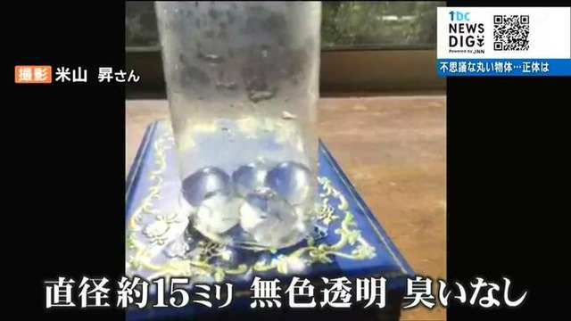 【悲報】東京、大豪雨 | 【悲報】東京、大豪雨 | 【悲報】東京、大豪雨 | 【悲報】東京、大豪雨 | 【悲報】東京、大豪雨 | 【悲報】東京、大豪雨 | 【悲報】東京、大豪雨 | 【悲報】東京、大豪雨 | 【悲報】東京、大豪雨 | やっちまった速報(画像12154838574379_9)