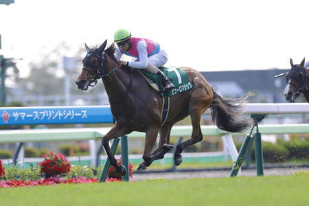 キズナ産駒、またマイルでG1制覇
 | やっちまった速報(最新記事1)