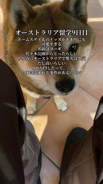 【悲報】オービス、逝くｗｗｗｗｗｗｗｗｗｗｗｗｗｗｗｗｗｗｗｗｗｗｗｗｗ | 【悲報】オービス、逝くｗｗｗｗｗｗｗｗｗｗｗｗｗｗｗｗｗｗｗｗｗｗｗｗｗ | 【悲報】オービス、逝くｗｗｗｗｗｗｗｗｗｗｗｗｗｗｗｗｗｗｗｗｗｗｗｗｗ | 【悲報】オービス、逝くｗｗｗｗｗｗｗｗｗｗｗｗｗｗｗｗｗｗｗｗｗｗｗｗｗ | 【悲報】オービス、逝くｗｗｗｗｗｗｗｗｗｗｗｗｗｗｗｗｗｗｗｗｗｗｗｗｗ | 【悲報】オービス、逝くｗｗｗｗｗｗｗｗｗｗｗｗｗｗｗｗｗｗｗｗｗｗｗｗｗ | 【悲報】オービス、逝くｗｗｗｗｗｗｗｗｗｗｗｗｗｗｗｗｗｗｗｗｗｗｗｗｗ | やっちまった速報(画像20182936042433_7)