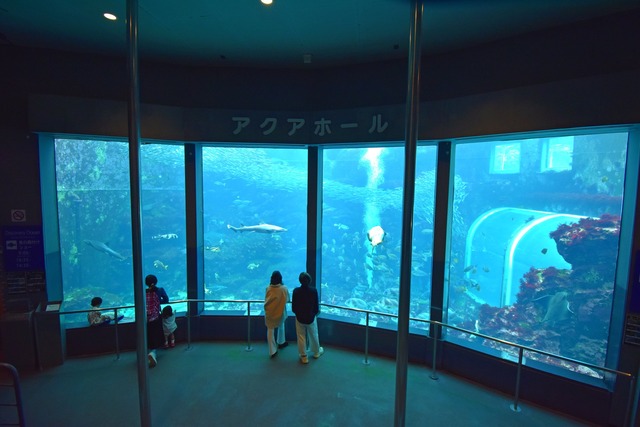 【悲報】パパさん、水族館で妻子と離れた隙に女性のスカート内を盗撮、逮捕 | 【悲報】パパさん、水族館で妻子と離れた隙に女性のスカート内を盗撮、逮捕 | 【悲報】パパさん、水族館で妻子と離れた隙に女性のスカート内を盗撮、逮捕 | 【悲報】パパさん、水族館で妻子と離れた隙に女性のスカート内を盗撮、逮捕 | やっちまった速報(画像22181848920040_4)