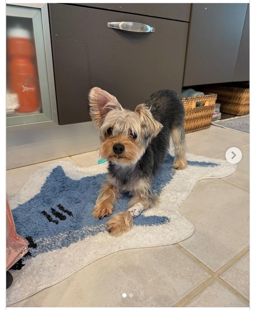 【画像】イッヌが並んで寝てる画像、ガチでかわいいｗｗｗ | 【画像】イッヌが並んで寝てる画像、ガチでかわいいｗｗｗ | 【画像】イッヌが並んで寝てる画像、ガチでかわいいｗｗｗ | 【画像】イッヌが並んで寝てる画像、ガチでかわいいｗｗｗ | 【画像】イッヌが並んで寝てる画像、ガチでかわいいｗｗｗ | 【画像】イッヌが並んで寝てる画像、ガチでかわいいｗｗｗ | 【画像】イッヌが並んで寝てる画像、ガチでかわいいｗｗｗ | 【画像】イッヌが並んで寝てる画像、ガチでかわいいｗｗｗ | 【画像】イッヌが並んで寝てる画像、ガチでかわいいｗｗｗ | 【画像】イッヌが並んで寝てる画像、ガチでかわいいｗｗｗ | 【画像】イッヌが並んで寝てる画像、ガチでかわいいｗｗｗ | 【画像】イッヌが並んで寝てる画像、ガチでかわいいｗｗｗ | 【画像】イッヌが並んで寝てる画像、ガチでかわいいｗｗｗ | 【画像】イッヌが並んで寝てる画像、ガチでかわいいｗｗｗ | 【画像】イッヌが並んで寝てる画像、ガチでかわいいｗｗｗ | 【画像】イッヌが並んで寝てる画像、ガチでかわいいｗｗｗ | 【画像】イッヌが並んで寝てる画像、ガチでかわいいｗｗｗ | 【画像】イッヌが並んで寝てる画像、ガチでかわいいｗｗｗ | 【画像】イッヌが並んで寝てる画像、ガチでかわいいｗｗｗ | 【画像】イッヌが並んで寝てる画像、ガチでかわいいｗｗｗ | 【画像】イッヌが並んで寝てる画像、ガチでかわいいｗｗｗ | 【画像】イッヌが並んで寝てる画像、ガチでかわいいｗｗｗ | 【画像】イッヌが並んで寝てる画像、ガチでかわいいｗｗｗ | やっちまった速報(画像27075322523099_23)