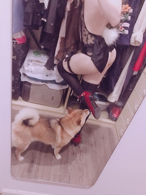 【画像】イッヌが並んで寝てる画像、ガチでかわいいｗｗｗ | 【画像】イッヌが並んで寝てる画像、ガチでかわいいｗｗｗ | 【画像】イッヌが並んで寝てる画像、ガチでかわいいｗｗｗ | 【画像】イッヌが並んで寝てる画像、ガチでかわいいｗｗｗ | 【画像】イッヌが並んで寝てる画像、ガチでかわいいｗｗｗ | 【画像】イッヌが並んで寝てる画像、ガチでかわいいｗｗｗ | 【画像】イッヌが並んで寝てる画像、ガチでかわいいｗｗｗ | 【画像】イッヌが並んで寝てる画像、ガチでかわいいｗｗｗ | 【画像】イッヌが並んで寝てる画像、ガチでかわいいｗｗｗ | 【画像】イッヌが並んで寝てる画像、ガチでかわいいｗｗｗ | 【画像】イッヌが並んで寝てる画像、ガチでかわいいｗｗｗ | 【画像】イッヌが並んで寝てる画像、ガチでかわいいｗｗｗ | 【画像】イッヌが並んで寝てる画像、ガチでかわいいｗｗｗ | 【画像】イッヌが並んで寝てる画像、ガチでかわいいｗｗｗ | 【画像】イッヌが並んで寝てる画像、ガチでかわいいｗｗｗ | 【画像】イッヌが並んで寝てる画像、ガチでかわいいｗｗｗ | 【画像】イッヌが並んで寝てる画像、ガチでかわいいｗｗｗ | 【画像】イッヌが並んで寝てる画像、ガチでかわいいｗｗｗ | 【画像】イッヌが並んで寝てる画像、ガチでかわいいｗｗｗ | 【画像】イッヌが並んで寝てる画像、ガチでかわいいｗｗｗ | 【画像】イッヌが並んで寝てる画像、ガチでかわいいｗｗｗ | 【画像】イッヌが並んで寝てる画像、ガチでかわいいｗｗｗ | 【画像】イッヌが並んで寝てる画像、ガチでかわいいｗｗｗ | 【画像】イッヌが並んで寝てる画像、ガチでかわいいｗｗｗ | 【画像】イッヌが並んで寝てる画像、ガチでかわいいｗｗｗ | 【画像】イッヌが並んで寝てる画像、ガチでかわいいｗｗｗ | やっちまった速報(画像27075323863151_26)
