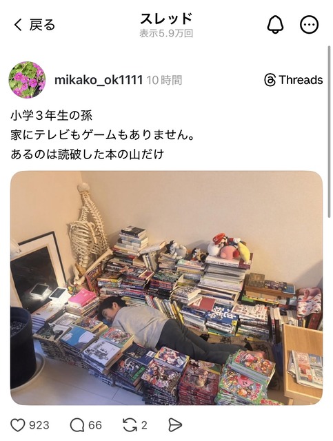 【悲報】親「うちの子にはゲームは買い与えません。本だけで十分」→結果 | 【悲報】親「うちの子にはゲームは買い与えません。本だけで十分」→結果 | やっちまった速報(画像30171412913101_2)
