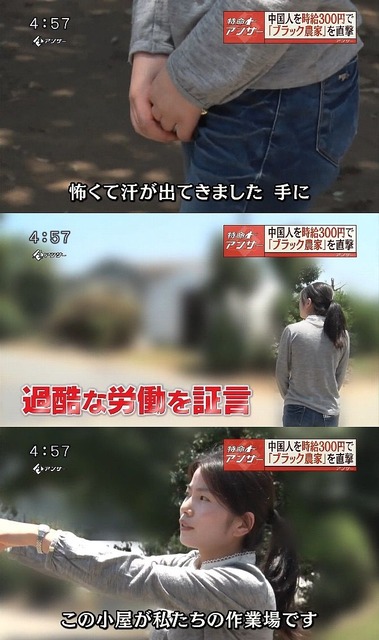 【悲報】来日したネパール人移民、過去10ヶ月で67人が死亡し25人が自殺WWWWWWWWWWWWWWW | 【悲報】来日したネパール人移民、過去10ヶ月で67人が死亡し25人が自殺WWWWWWWWWWWWWWW | 【悲報】来日したネパール人移民、過去10ヶ月で67人が死亡し25人が自殺WWWWWWWWWWWWWWW | 【悲報】来日したネパール人移民、過去10ヶ月で67人が死亡し25人が自殺WWWWWWWWWWWWWWW | 【悲報】来日したネパール人移民、過去10ヶ月で67人が死亡し25人が自殺WWWWWWWWWWWWWWW | 【悲報】来日したネパール人移民、過去10ヶ月で67人が死亡し25人が自殺WWWWWWWWWWWWWWW | 【悲報】来日したネパール人移民、過去10ヶ月で67人が死亡し25人が自殺WWWWWWWWWWWWWWW | 【悲報】来日したネパール人移民、過去10ヶ月で67人が死亡し25人が自殺WWWWWWWWWWWWWWW | 【悲報】来日したネパール人移民、過去10ヶ月で67人が死亡し25人が自殺WWWWWWWWWWWWWWW | 【悲報】来日したネパール人移民、過去10ヶ月で67人が死亡し25人が自殺WWWWWWWWWWWWWWW | 【悲報】来日したネパール人移民、過去10ヶ月で67人が死亡し25人が自殺WWWWWWWWWWWWWWW | 【悲報】来日したネパール人移民、過去10ヶ月で67人が死亡し25人が自殺WWWWWWWWWWWWWWW | 【悲報】来日したネパール人移民、過去10ヶ月で67人が死亡し25人が自殺WWWWWWWWWWWWWWW | 【悲報】来日したネパール人移民、過去10ヶ月で67人が死亡し25人が自殺WWWWWWWWWWWWWWW | 【悲報】来日したネパール人移民、過去10ヶ月で67人が死亡し25人が自殺WWWWWWWWWWWWWWW | やっちまった速報(画像03050508431475_15)