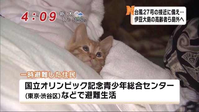 マジで衝撃を受けたテレビのニュース速報のテロップ | マジで衝撃を受けたテレビのニュース速報のテロップ | マジで衝撃を受けたテレビのニュース速報のテロップ | マジで衝撃を受けたテレビのニュース速報のテロップ | マジで衝撃を受けたテレビのニュース速報のテロップ | マジで衝撃を受けたテレビのニュース速報のテロップ | マジで衝撃を受けたテレビのニュース速報のテロップ | マジで衝撃を受けたテレビのニュース速報のテロップ | マジで衝撃を受けたテレビのニュース速報のテロップ | マジで衝撃を受けたテレビのニュース速報のテロップ | マジで衝撃を受けたテレビのニュース速報のテロップ | マジで衝撃を受けたテレビのニュース速報のテロップ | マジで衝撃を受けたテレビのニュース速報のテロップ | マジで衝撃を受けたテレビのニュース速報のテロップ | マジで衝撃を受けたテレビのニュース速報のテロップ | マジで衝撃を受けたテレビのニュース速報のテロップ | マジで衝撃を受けたテレビのニュース速報のテロップ | マジで衝撃を受けたテレビのニュース速報のテロップ | マジで衝撃を受けたテレビのニュース速報のテロップ | マジで衝撃を受けたテレビのニュース速報のテロップ | マジで衝撃を受けたテレビのニュース速報のテロップ | マジで衝撃を受けたテレビのニュース速報のテロップ | マジで衝撃を受けたテレビのニュース速報のテロップ | やっちまった速報(画像03070430822038_23)