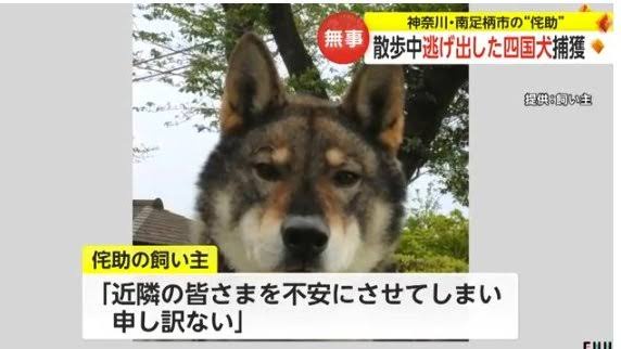 マジで衝撃を受けたテレビのニュース速報のテロップ | マジで衝撃を受けたテレビのニュース速報のテロップ | マジで衝撃を受けたテレビのニュース速報のテロップ | マジで衝撃を受けたテレビのニュース速報のテロップ | マジで衝撃を受けたテレビのニュース速報のテロップ | マジで衝撃を受けたテレビのニュース速報のテロップ | マジで衝撃を受けたテレビのニュース速報のテロップ | マジで衝撃を受けたテレビのニュース速報のテロップ | マジで衝撃を受けたテレビのニュース速報のテロップ | マジで衝撃を受けたテレビのニュース速報のテロップ | マジで衝撃を受けたテレビのニュース速報のテロップ | マジで衝撃を受けたテレビのニュース速報のテロップ | マジで衝撃を受けたテレビのニュース速報のテロップ | マジで衝撃を受けたテレビのニュース速報のテロップ | マジで衝撃を受けたテレビのニュース速報のテロップ | マジで衝撃を受けたテレビのニュース速報のテロップ | マジで衝撃を受けたテレビのニュース速報のテロップ | マジで衝撃を受けたテレビのニュース速報のテロップ | マジで衝撃を受けたテレビのニュース速報のテロップ | マジで衝撃を受けたテレビのニュース速報のテロップ | マジで衝撃を受けたテレビのニュース速報のテロップ | マジで衝撃を受けたテレビのニュース速報のテロップ | マジで衝撃を受けたテレビのニュース速報のテロップ | マジで衝撃を受けたテレビのニュース速報のテロップ | マジで衝撃を受けたテレビのニュース速報のテロップ | マジで衝撃を受けたテレビのニュース速報のテロップ | マジで衝撃を受けたテレビのニュース速報のテロップ | マジで衝撃を受けたテレビのニュース速報のテロップ | マジで衝撃を受けたテレビのニュース速報のテロップ | マジで衝撃を受けたテレビのニュース速報のテロップ | マジで衝撃を受けたテレビのニュース速報のテロップ | マジで衝撃を受けたテレビのニュース速報のテロップ | マジで衝撃を受けたテレビのニュース速報のテロップ | マジで衝撃を受けたテレビのニュース速報のテロップ | マジで衝撃を受けたテレビのニュース速報のテロップ | マジで衝撃を受けたテレビのニュース速報のテロップ | やっちまった速報(画像03070435113797_36)