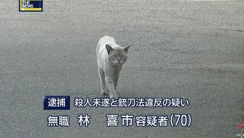 マジで衝撃を受けたテレビのニュース速報のテロップ | マジで衝撃を受けたテレビのニュース速報のテロップ | マジで衝撃を受けたテレビのニュース速報のテロップ | マジで衝撃を受けたテレビのニュース速報のテロップ | マジで衝撃を受けたテレビのニュース速報のテロップ | マジで衝撃を受けたテレビのニュース速報のテロップ | マジで衝撃を受けたテレビのニュース速報のテロップ | マジで衝撃を受けたテレビのニュース速報のテロップ | マジで衝撃を受けたテレビのニュース速報のテロップ | マジで衝撃を受けたテレビのニュース速報のテロップ | マジで衝撃を受けたテレビのニュース速報のテロップ | マジで衝撃を受けたテレビのニュース速報のテロップ | マジで衝撃を受けたテレビのニュース速報のテロップ | マジで衝撃を受けたテレビのニュース速報のテロップ | マジで衝撃を受けたテレビのニュース速報のテロップ | マジで衝撃を受けたテレビのニュース速報のテロップ | マジで衝撃を受けたテレビのニュース速報のテロップ | マジで衝撃を受けたテレビのニュース速報のテロップ | マジで衝撃を受けたテレビのニュース速報のテロップ | マジで衝撃を受けたテレビのニュース速報のテロップ | マジで衝撃を受けたテレビのニュース速報のテロップ | マジで衝撃を受けたテレビのニュース速報のテロップ | マジで衝撃を受けたテレビのニュース速報のテロップ | マジで衝撃を受けたテレビのニュース速報のテロップ | マジで衝撃を受けたテレビのニュース速報のテロップ | マジで衝撃を受けたテレビのニュース速報のテロップ | マジで衝撃を受けたテレビのニュース速報のテロップ | マジで衝撃を受けたテレビのニュース速報のテロップ | マジで衝撃を受けたテレビのニュース速報のテロップ | マジで衝撃を受けたテレビのニュース速報のテロップ | マジで衝撃を受けたテレビのニュース速報のテロップ | マジで衝撃を受けたテレビのニュース速報のテロップ | マジで衝撃を受けたテレビのニュース速報のテロップ | マジで衝撃を受けたテレビのニュース速報のテロップ | マジで衝撃を受けたテレビのニュース速報のテロップ | マジで衝撃を受けたテレビのニュース速報のテロップ | マジで衝撃を受けたテレビのニュース速報のテロップ | やっちまった速報(画像03070435436764_37)