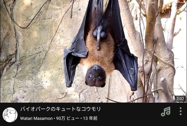 🦇「疲れたなぁ…顔面に乗ったろw」彡(-)(-)→約1ヶ月後に死亡 | 🦇「疲れたなぁ…顔面に乗ったろw」彡(-)(-)→約1ヶ月後に死亡 | 🦇「疲れたなぁ…顔面に乗ったろw」彡(-)(-)→約1ヶ月後に死亡 | 🦇「疲れたなぁ…顔面に乗ったろw」彡(-)(-)→約1ヶ月後に死亡 | 🦇「疲れたなぁ…顔面に乗ったろw」彡(-)(-)→約1ヶ月後に死亡 | 🦇「疲れたなぁ…顔面に乗ったろw」彡(-)(-)→約1ヶ月後に死亡 | 🦇「疲れたなぁ…顔面に乗ったろw」彡(-)(-)→約1ヶ月後に死亡 | 🦇「疲れたなぁ…顔面に乗ったろw」彡(-)(-)→約1ヶ月後に死亡 | 🦇「疲れたなぁ…顔面に乗ったろw」彡(-)(-)→約1ヶ月後に死亡 | やっちまった速報(画像04100438463556_9)