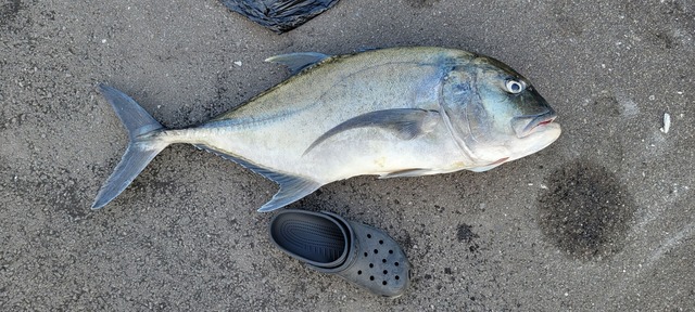 【画像】ルアー釣り始めて2ヶ月やけど大物釣れた！ | 【画像】ルアー釣り始めて2ヶ月やけど大物釣れた！ | 【画像】ルアー釣り始めて2ヶ月やけど大物釣れた！ | 【画像】ルアー釣り始めて2ヶ月やけど大物釣れた！ | 【画像】ルアー釣り始めて2ヶ月やけど大物釣れた！ | 【画像】ルアー釣り始めて2ヶ月やけど大物釣れた！ | 【画像】ルアー釣り始めて2ヶ月やけど大物釣れた！ | 【画像】ルアー釣り始めて2ヶ月やけど大物釣れた！ | 【画像】ルアー釣り始めて2ヶ月やけど大物釣れた！ | 【画像】ルアー釣り始めて2ヶ月やけど大物釣れた！ | 【画像】ルアー釣り始めて2ヶ月やけど大物釣れた！ | 【画像】ルアー釣り始めて2ヶ月やけど大物釣れた！ | やっちまった速報(画像05010428596703_12)