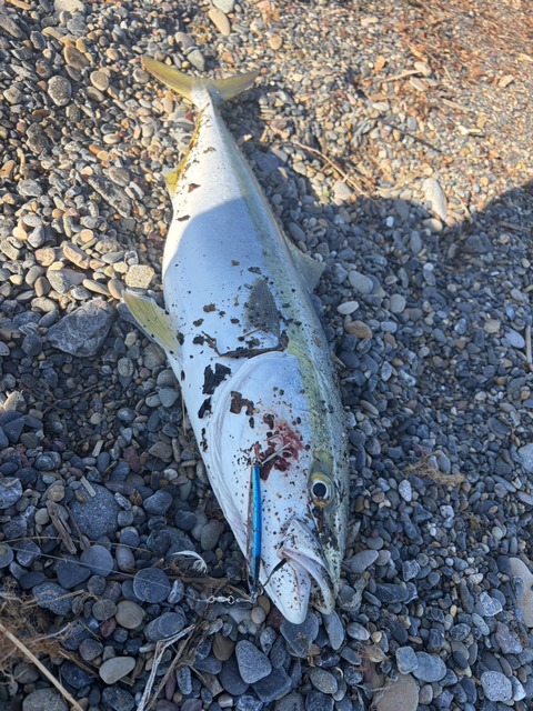 【画像】ルアー釣り始めて2ヶ月やけど大物釣れた！ | 【画像】ルアー釣り始めて2ヶ月やけど大物釣れた！ | 【画像】ルアー釣り始めて2ヶ月やけど大物釣れた！ | 【画像】ルアー釣り始めて2ヶ月やけど大物釣れた！ | 【画像】ルアー釣り始めて2ヶ月やけど大物釣れた！ | やっちまった速報(画像05010426167022_5)