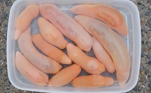 【画像】ルアー釣り始めて2ヶ月やけど大物釣れた！ | 【画像】ルアー釣り始めて2ヶ月やけど大物釣れた！ | 【画像】ルアー釣り始めて2ヶ月やけど大物釣れた！ | 【画像】ルアー釣り始めて2ヶ月やけど大物釣れた！ | 【画像】ルアー釣り始めて2ヶ月やけど大物釣れた！ | 【画像】ルアー釣り始めて2ヶ月やけど大物釣れた！ | 【画像】ルアー釣り始めて2ヶ月やけど大物釣れた！ | やっちまった速報(画像05010426899556_7)