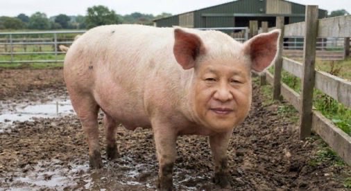 【動画】中国でダム決壊　豚さんが大量に浮く | 【動画】中国でダム決壊　豚さんが大量に浮く | 【動画】中国でダム決壊　豚さんが大量に浮く | 【動画】中国でダム決壊　豚さんが大量に浮く | やっちまった速報(画像08204448198089_4)