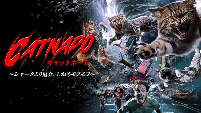 【悲報】今年、ホラー映画が多すぎて観きれないwwwww | 【悲報】今年、ホラー映画が多すぎて観きれないwwwww | 【悲報】今年、ホラー映画が多すぎて観きれないwwwww | 【悲報】今年、ホラー映画が多すぎて観きれないwwwww | やっちまった速報(11110051384158_4)