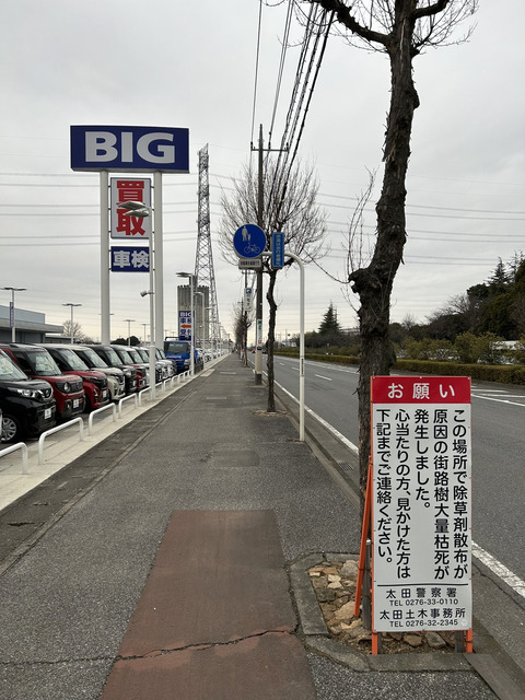【朗報】元ビッグモーターさん、伊藤忠商事に身売りした結果ｗｗｗｗｗｗｗ | 【朗報】元ビッグモーターさん、伊藤忠商事に身売りした結果ｗｗｗｗｗｗｗ | やっちまった速報(16185052884311_2)