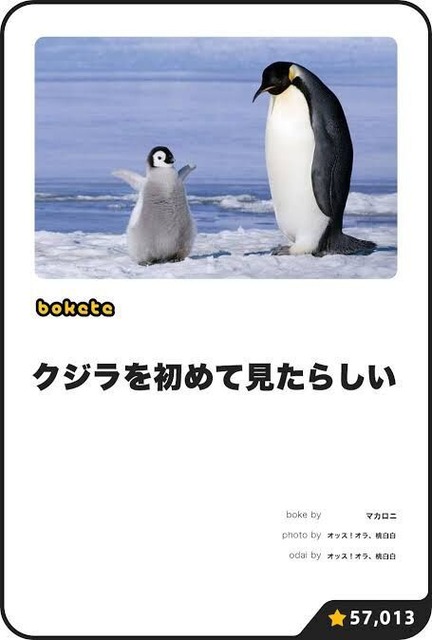 大喜利サイト『bokete』がサ終するから面白かったネタ貼るぞwwwwwww | 大喜利サイト『bokete』がサ終するから面白かったネタ貼るぞwwwwwww | 大喜利サイト『bokete』がサ終するから面白かったネタ貼るぞwwwwwww | 大喜利サイト『bokete』がサ終するから面白かったネタ貼るぞwwwwwww | 大喜利サイト『bokete』がサ終するから面白かったネタ貼るぞwwwwwww | 大喜利サイト『bokete』がサ終するから面白かったネタ貼るぞwwwwwww | 大喜利サイト『bokete』がサ終するから面白かったネタ貼るぞwwwwwww | 大喜利サイト『bokete』がサ終するから面白かったネタ貼るぞwwwwwww | 大喜利サイト『bokete』がサ終するから面白かったネタ貼るぞwwwwwww | 大喜利サイト『bokete』がサ終するから面白かったネタ貼るぞwwwwwww | 大喜利サイト『bokete』がサ終するから面白かったネタ貼るぞwwwwwww | 大喜利サイト『bokete』がサ終するから面白かったネタ貼るぞwwwwwww | 大喜利サイト『bokete』がサ終するから面白かったネタ貼るぞwwwwwww | やっちまった速報(17230456181798_13)