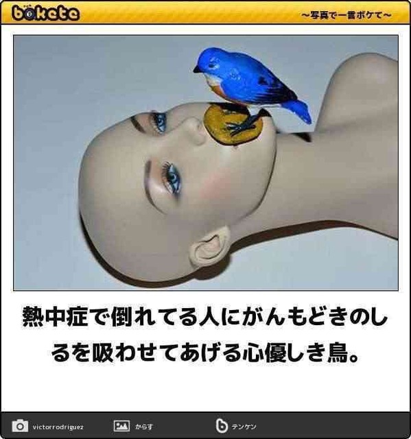 大喜利サイト『bokete』がサ終するから面白かったネタ貼るぞwwwwwww | 大喜利サイト『bokete』がサ終するから面白かったネタ貼るぞwwwwwww | 大喜利サイト『bokete』がサ終するから面白かったネタ貼るぞwwwwwww | 大喜利サイト『bokete』がサ終するから面白かったネタ貼るぞwwwwwww | 大喜利サイト『bokete』がサ終するから面白かったネタ貼るぞwwwwwww | 大喜利サイト『bokete』がサ終するから面白かったネタ貼るぞwwwwwww | 大喜利サイト『bokete』がサ終するから面白かったネタ貼るぞwwwwwww | 大喜利サイト『bokete』がサ終するから面白かったネタ貼るぞwwwwwww | 大喜利サイト『bokete』がサ終するから面白かったネタ貼るぞwwwwwww | 大喜利サイト『bokete』がサ終するから面白かったネタ貼るぞwwwwwww | 大喜利サイト『bokete』がサ終するから面白かったネタ貼るぞwwwwwww | 大喜利サイト『bokete』がサ終するから面白かったネタ貼るぞwwwwwww | 大喜利サイト『bokete』がサ終するから面白かったネタ貼るぞwwwwwww | 大喜利サイト『bokete』がサ終するから面白かったネタ貼るぞwwwwwww | 大喜利サイト『bokete』がサ終するから面白かったネタ貼るぞwwwwwww | 大喜利サイト『bokete』がサ終するから面白かったネタ貼るぞwwwwwww | 大喜利サイト『bokete』がサ終するから面白かったネタ貼るぞwwwwwww | 大喜利サイト『bokete』がサ終するから面白かったネタ貼るぞwwwwwww | 大喜利サイト『bokete』がサ終するから面白かったネタ貼るぞwwwwwww | 大喜利サイト『bokete』がサ終するから面白かったネタ貼るぞwwwwwww | 大喜利サイト『bokete』がサ終するから面白かったネタ貼るぞwwwwwww | 大喜利サイト『bokete』がサ終するから面白かったネタ貼るぞwwwwwww | 大喜利サイト『bokete』がサ終するから面白かったネタ貼るぞwwwwwww | 大喜利サイト『bokete』がサ終するから面白かったネタ貼るぞwwwwwww | 大喜利サイト『bokete』がサ終するから面白かったネタ貼るぞwwwwwww | 大喜利サイト『bokete』がサ終するから面白かったネタ貼るぞwwwwwww | 大喜利サイト『bokete』がサ終するから面白かったネタ貼るぞwwwwwww | 大喜利サイト『bokete』がサ終するから面白かったネタ貼るぞwwwwwww | 大喜利サイト『bokete』がサ終するから面白かったネタ貼るぞwwwwwww | 大喜利サイト『bokete』がサ終するから面白かったネタ貼るぞwwwwwww | 大喜利サイト『bokete』がサ終するから面白かったネタ貼るぞwwwwwww | 大喜利サイト『bokete』がサ終するから面白かったネタ貼るぞwwwwwww | 大喜利サイト『bokete』がサ終するから面白かったネタ貼るぞwwwwwww | 大喜利サイト『bokete』がサ終するから面白かったネタ貼るぞwwwwwww | 大喜利サイト『bokete』がサ終するから面白かったネタ貼るぞwwwwwww | 大喜利サイト『bokete』がサ終するから面白かったネタ貼るぞwwwwwww | 大喜利サイト『bokete』がサ終するから面白かったネタ貼るぞwwwwwww | 大喜利サイト『bokete』がサ終するから面白かったネタ貼るぞwwwwwww | 大喜利サイト『bokete』がサ終するから面白かったネタ貼るぞwwwwwww | 大喜利サイト『bokete』がサ終するから面白かったネタ貼るぞwwwwwww | 大喜利サイト『bokete』がサ終するから面白かったネタ貼るぞwwwwwww | 大喜利サイト『bokete』がサ終するから面白かったネタ貼るぞwwwwwww | 大喜利サイト『bokete』がサ終するから面白かったネタ貼るぞwwwwwww | 大喜利サイト『bokete』がサ終するから面白かったネタ貼るぞwwwwwww | 大喜利サイト『bokete』がサ終するから面白かったネタ貼るぞwwwwwww | 大喜利サイト『bokete』がサ終するから面白かったネタ貼るぞwwwwwww | 大喜利サイト『bokete』がサ終するから面白かったネタ貼るぞwwwwwww | 大喜利サイト『bokete』がサ終するから面白かったネタ貼るぞwwwwwww | 大喜利サイト『bokete』がサ終するから面白かったネタ貼るぞwwwwwww | やっちまった速報(17230507996749_49)