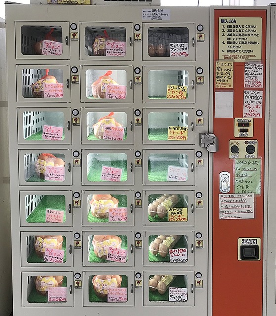 【悲報】無人販売所「Z世代が万引きしまくるのでもう閉めます」 | 【悲報】無人販売所「Z世代が万引きしまくるのでもう閉めます」 | 【悲報】無人販売所「Z世代が万引きしまくるのでもう閉めます」 | やっちまった速報(19175451882711_3)