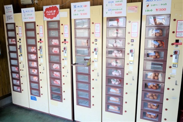 【悲報】無人販売所「Z世代が万引きしまくるのでもう閉めます」 | 【悲報】無人販売所「Z世代が万引きしまくるのでもう閉めます」 | 【悲報】無人販売所「Z世代が万引きしまくるのでもう閉めます」 | 【悲報】無人販売所「Z世代が万引きしまくるのでもう閉めます」 | やっちまった速報(19175452209745_4)