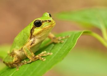 4ヶ月半ぶりにパチンコ行ったら3万勝った
 | やっちまった速報(最新記事2)