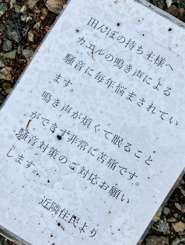 「田んぼの持ち主へ、カエルの声がうるさすぎて寝れません。騒音対策お願いします。」 | 「田んぼの持ち主へ、カエルの声がうるさすぎて寝れません。騒音対策お願いします。」 | やっちまった速報(24084503849091_2)