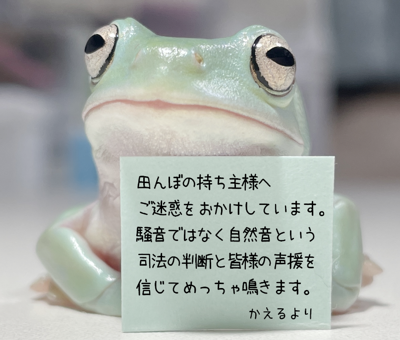 「田んぼの持ち主へ、カエルの声がうるさすぎて寝れません。騒音対策お願いします。」 | 「田んぼの持ち主へ、カエルの声がうるさすぎて寝れません。騒音対策お願いします。」 | 「田んぼの持ち主へ、カエルの声がうるさすぎて寝れません。騒音対策お願いします。」 | やっちまった速報(24084504296888_3)
