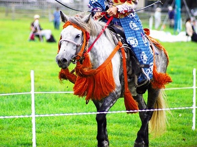 パチンコ、競馬、競艇、オートレース禁止にするだけで貧困問題解決するよな
 | やっちまった速報(最新記事1)