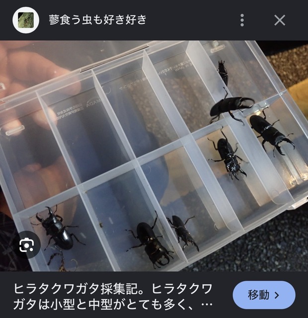 【画像】クワガタ捕りに来たwwwwwww | 【画像】クワガタ捕りに来たwwwwwww | 【画像】クワガタ捕りに来たwwwwwww | 【画像】クワガタ捕りに来たwwwwwww | 【画像】クワガタ捕りに来たwwwwwww | 【画像】クワガタ捕りに来たwwwwwww | 【画像】クワガタ捕りに来たwwwwwww | 【画像】クワガタ捕りに来たwwwwwww | 【画像】クワガタ捕りに来たwwwwwww | 【画像】クワガタ捕りに来たwwwwwww | 【画像】クワガタ捕りに来たwwwwwww | やっちまった速報(29030534492415_11)
