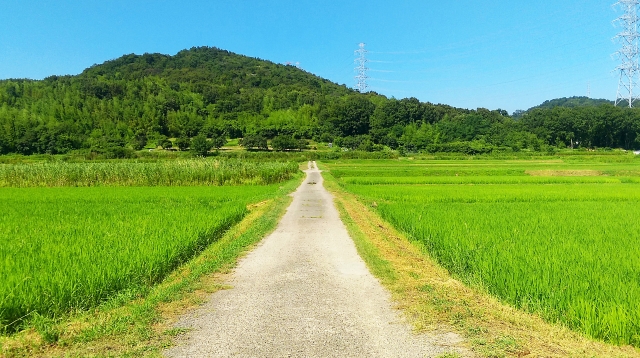 【悲報】X「都心に住んでたくせに子供できたら田舎に引っ越す奴は毒親」→9万いいね | やっちまった速報(30095535397162_1) 【悲報】X「都心に住んでたくせに子供できたら田舎に引っ越す奴は毒親」→9万いいね | やっちまった速報(30095535397162_1)
